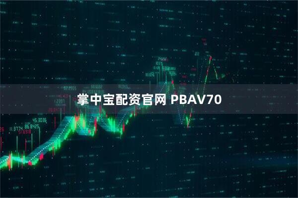 掌中宝配资官网 PBAV70