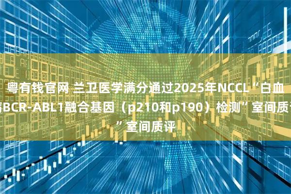 粤有钱官网 兰卫医学满分通过2025年NCCL“白血病BCR-ABL1融合基因（p210和p190）检测”室间质评