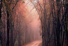 杠杆怎么求:股票的选择技巧-市值蒸发5000亿美元后 特斯拉全面转型！马斯克豪赌机器人：五年内年产100万台